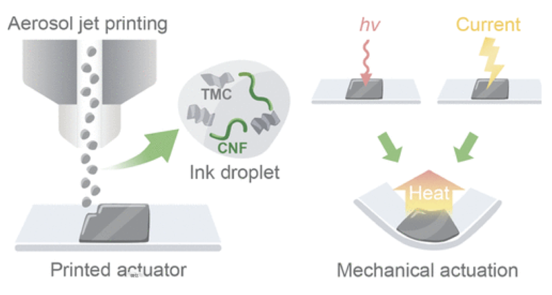 截屏2026-01-12 上午1.53.31.png
