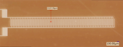 Micro-interdigitated Electrode